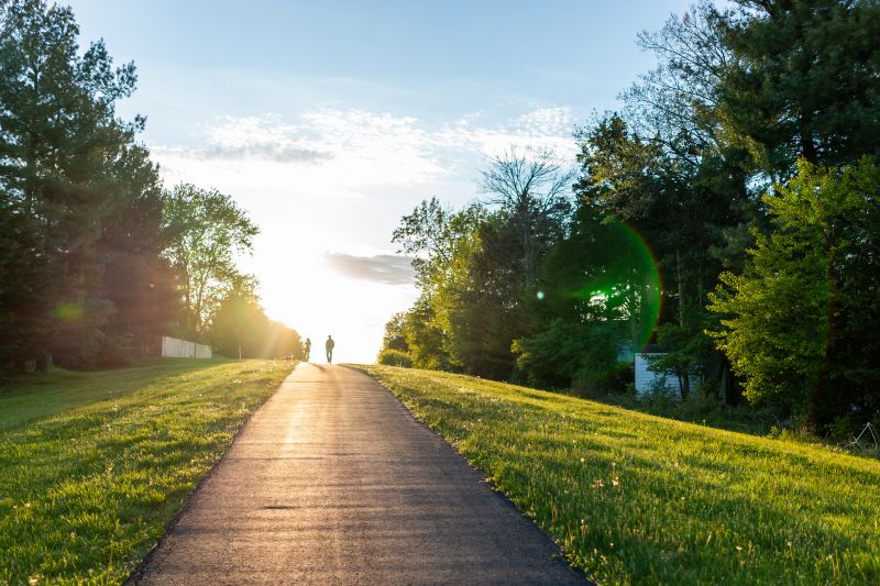 Asphalt Paving in Summer